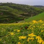 أجواء صيفية معتدلة في معظم المناطق