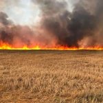 الزراعة النيابية: تبحث ملف حرائق المحاصيل الزراعية وتأثيرها على المخزون الاستراتيجي